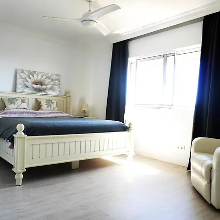 Seaview Suncoast Luxury Villa